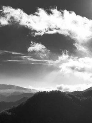 The Empress's Needle